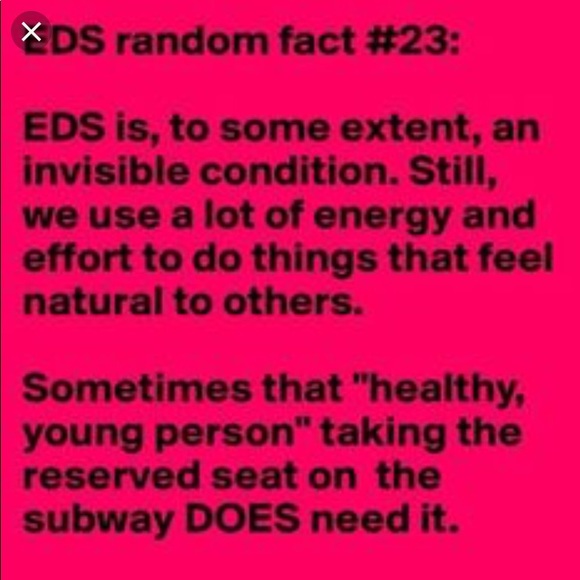 🦓 I am a Zebra 🦓 - Picture 5 of 8